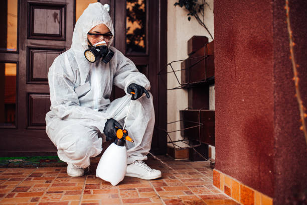 Attic and Crawl Space Rodent Treatment in Wildwood