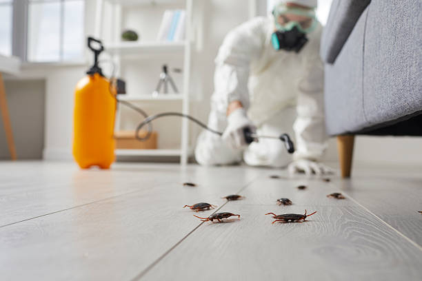 Commercial Rodent Management in Wildwood